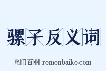 骡子反义词是什么意思的图片